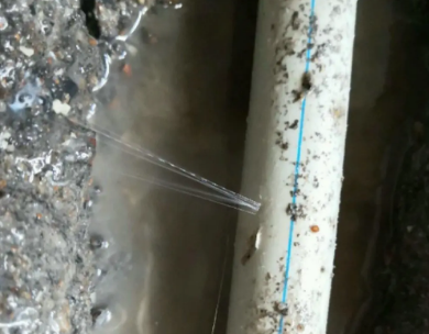 月湖测漏水哪家好