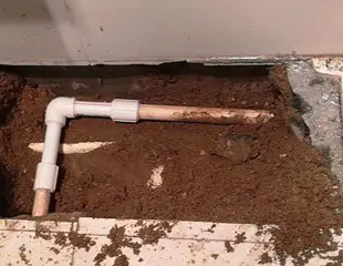 月湖测漏水哪家好