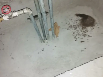 月湖卫生间测漏水价格明细