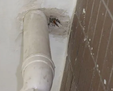 月湖漏水检测哪家好